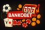 Bankobet Futsal Canlı Bahis 2025